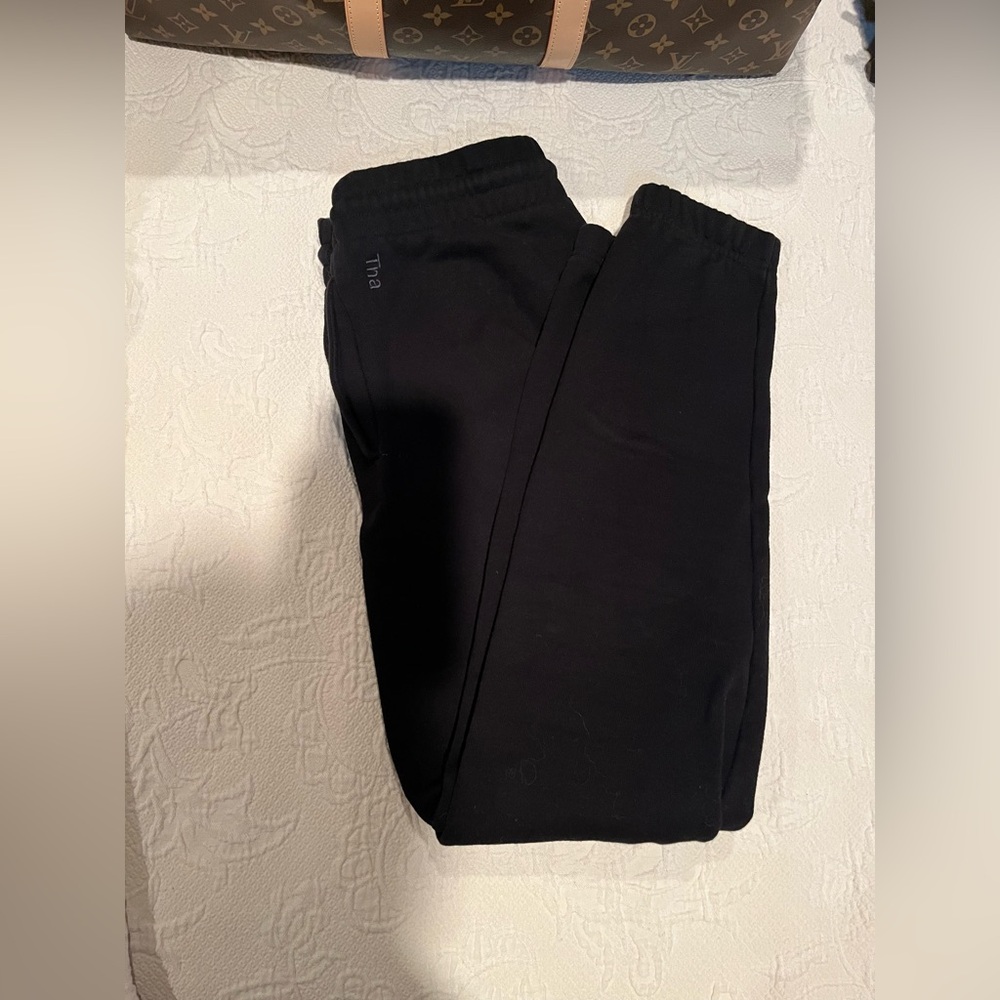 Aritzia TNA jogger sweatpants